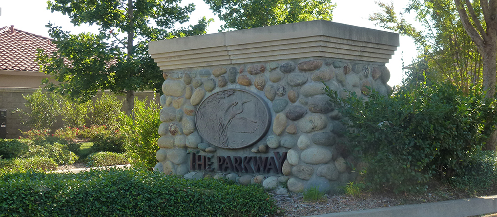 The Parkway.jpg